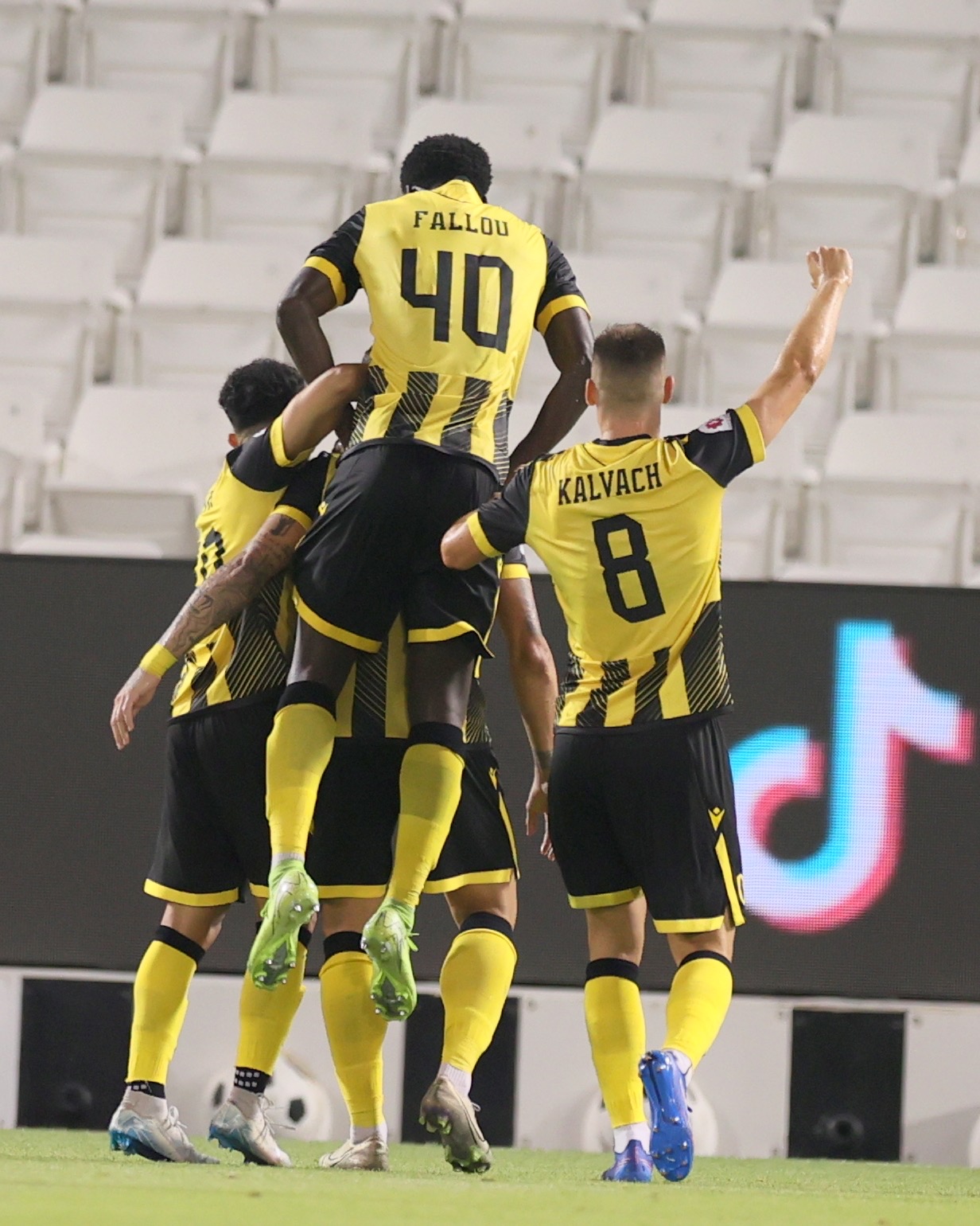 Qatar Stars League