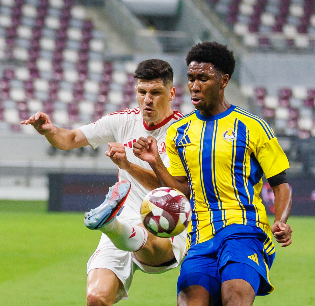 Qatar Stars League