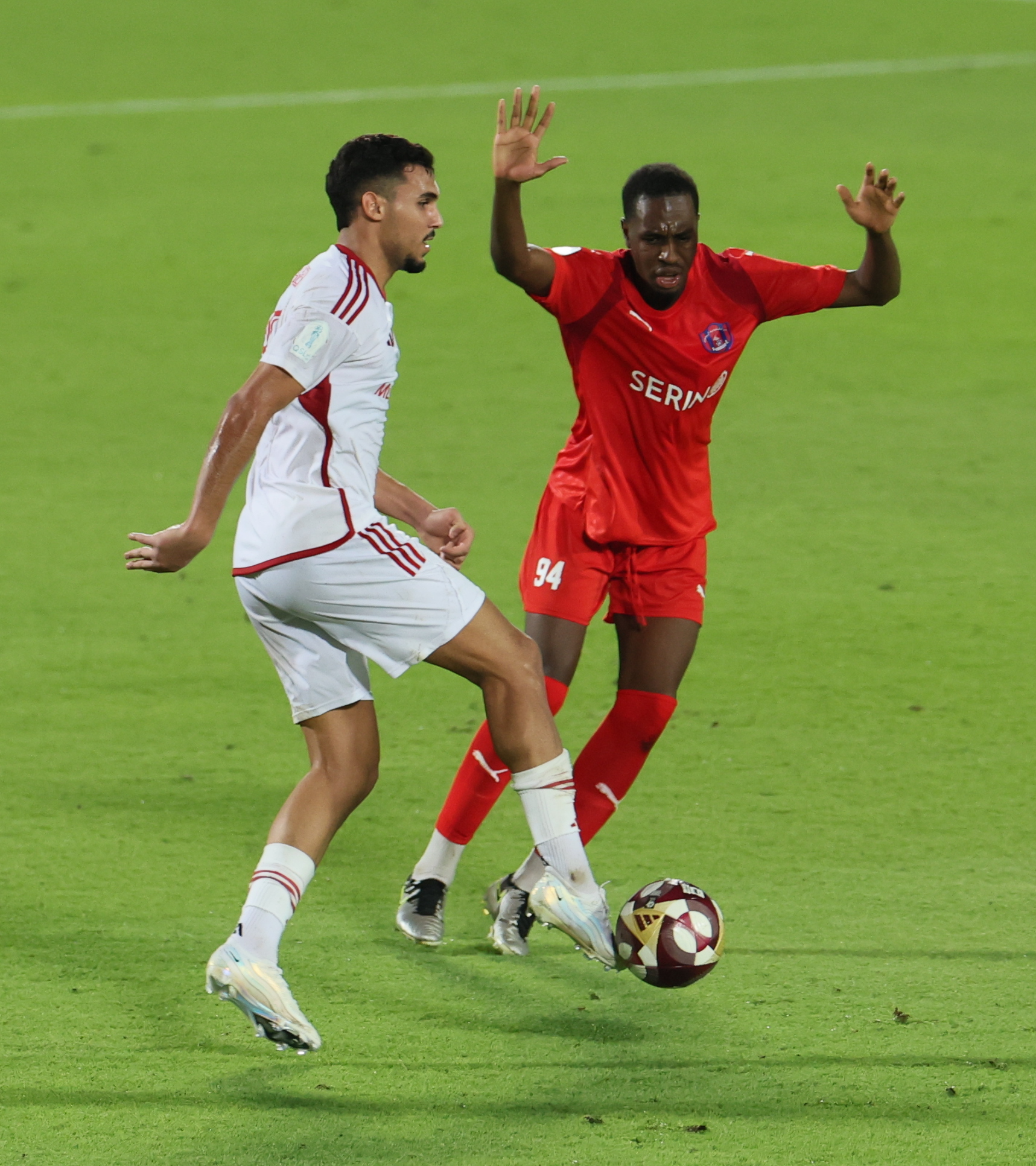 Qatar Stars League