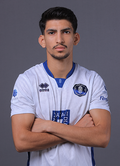 Qatar Stars League